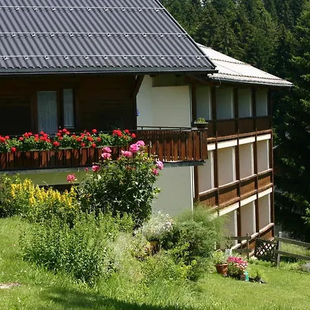 Ifenblick Hotel Sibratsgfall