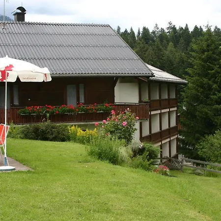 Ifenblick Sibratsgfall