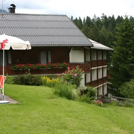 Ifenblick Sibratsgfäll