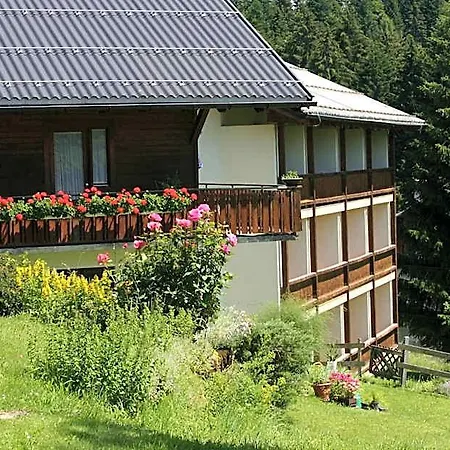 Ifenblick
