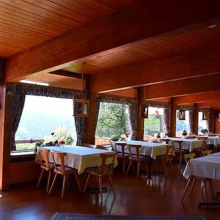 Ifenblick Hotel *